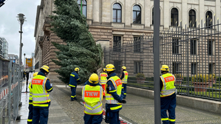 Foto: Helfer und Helferinnen des THW stellen den Baum auf