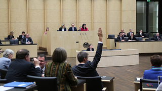 Foto: Abstimmung während des Plenums
