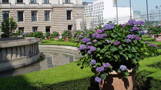 Foto: Vue sur la cour d'honneur et sa fontaine