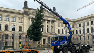 Foto: Kran vor dem Bundesratsgebäude hebt den Baum hoch