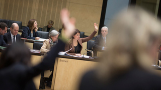 Foto: Abstimmung im Plenarsaal