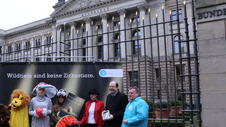 Demonstranten vor dem Bundesratsgebäude