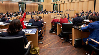 Foto: Abstimmung im Plenarsaal