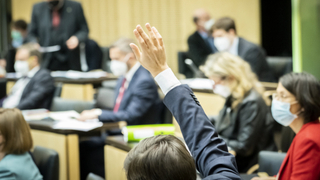 Foto: Abstimmung im Plenarsaal