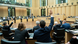 Foto: Abstimmung im Plenarsaal