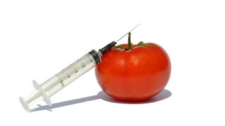 Foto: Eine Tomate und eine Spritze