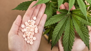 Foto: Tabletten neben einer Hanfpflanze