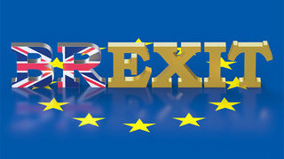 Foto: EU-Fahne mit Aufschrift Brexit