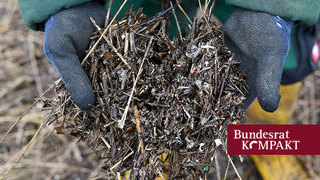 Foto: eine Hand mit zerkleinertem Plastikmüll