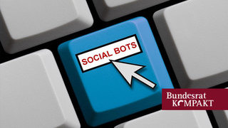 Foto: Tastatur mit Aufschrift Social Bots