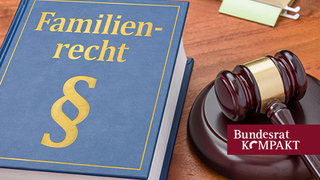 Foto: Richterhammer mit Buch mit Aufschrift Familienrecht